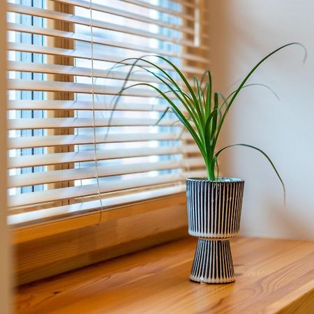 B2 Apartments Kłajpeda Zewnętrze zdjęcie